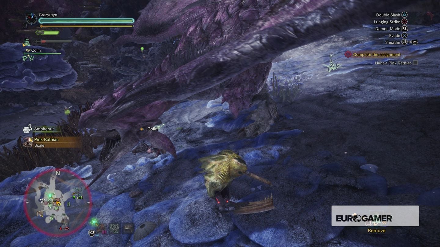 Monster Hunter World Search For Rathian Tracks Monster Hunter World - ??? Rathian Tracks and Pink Rathian strategy